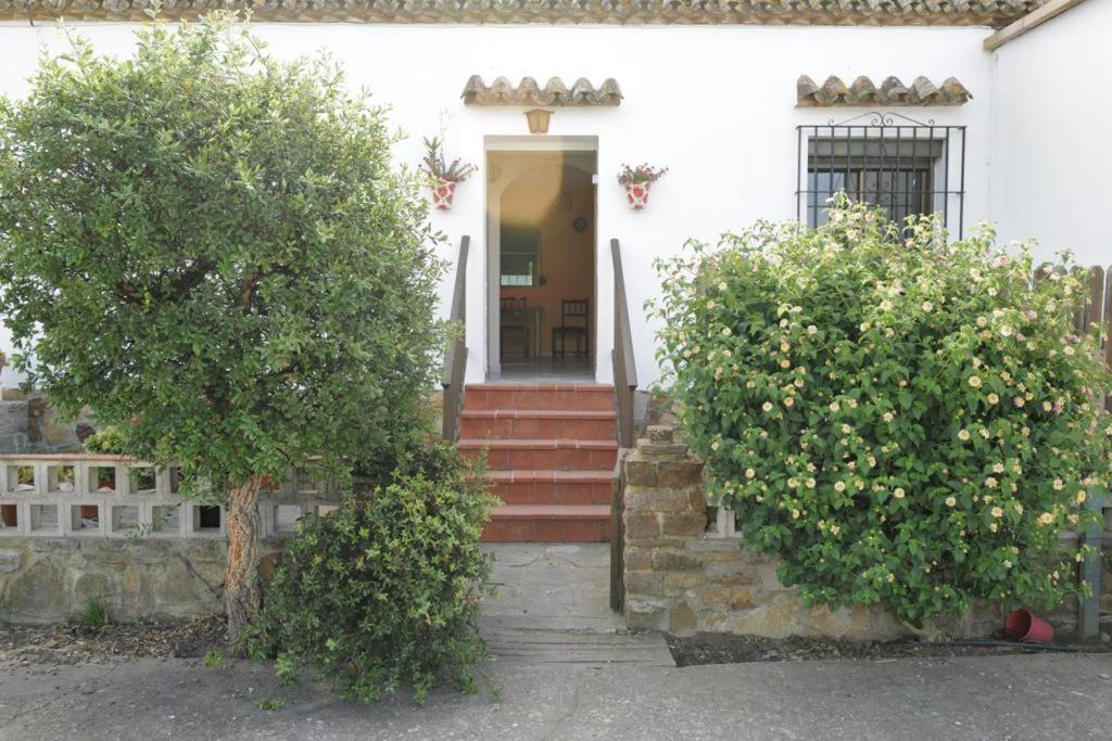 Apartment Casa Juncal