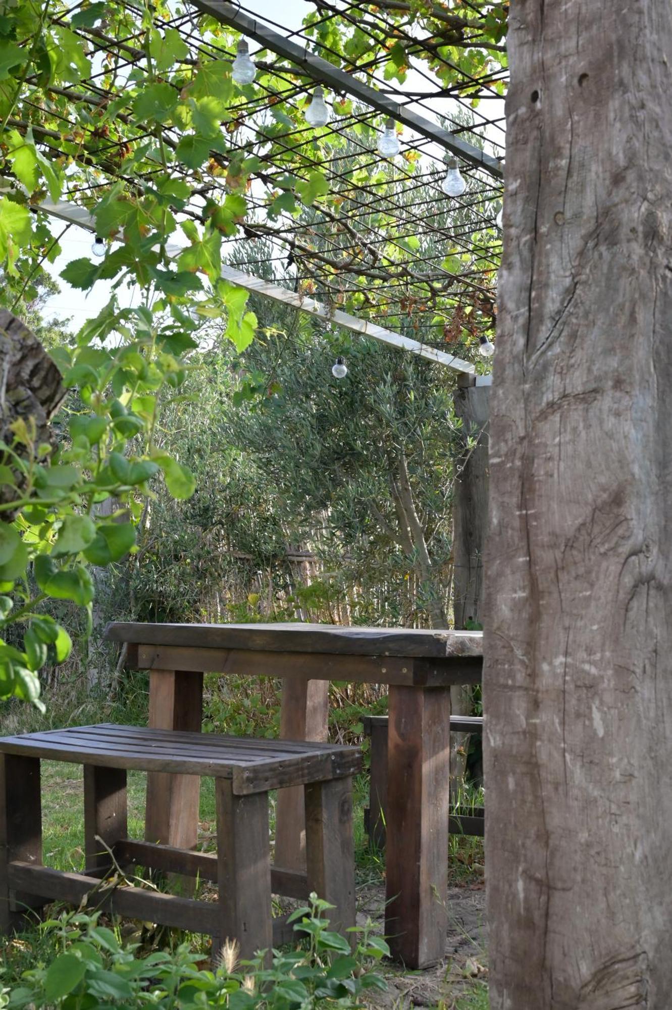 Appartement Casa Juncal *